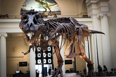 Discoveries about “Extinct” dinosaur Discoveries about “Extinct” dinosaur