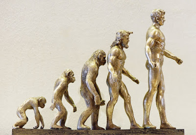 Stages of human evolution Stages of human evolution